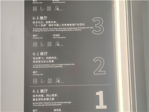 比亚迪6栋完工 (18)